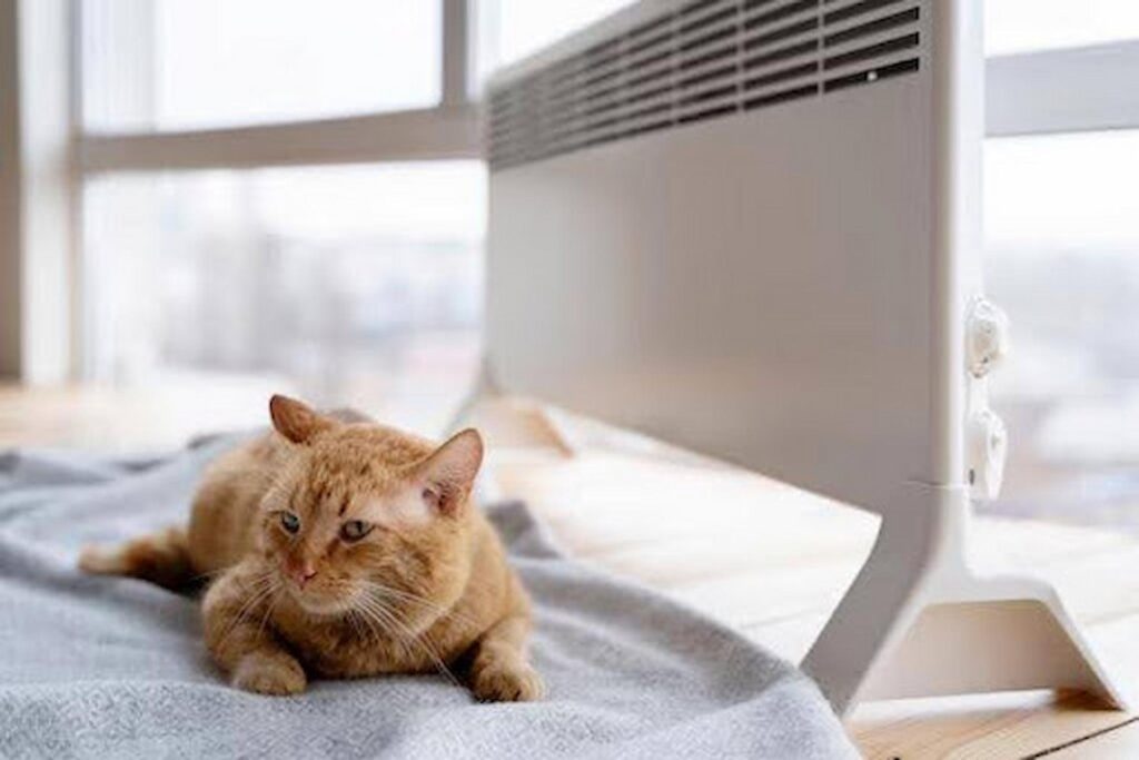 Stelrad Electric Radiator